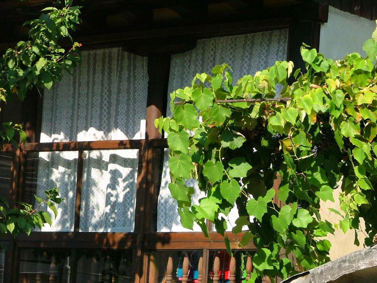 The Tinkov House In Ловеч Экстерьер фото